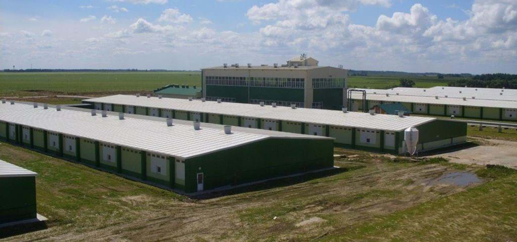 SKIOLD Pig Farm Project in Belarus