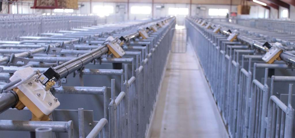SKIOLD liquid feeding system at Civagaard