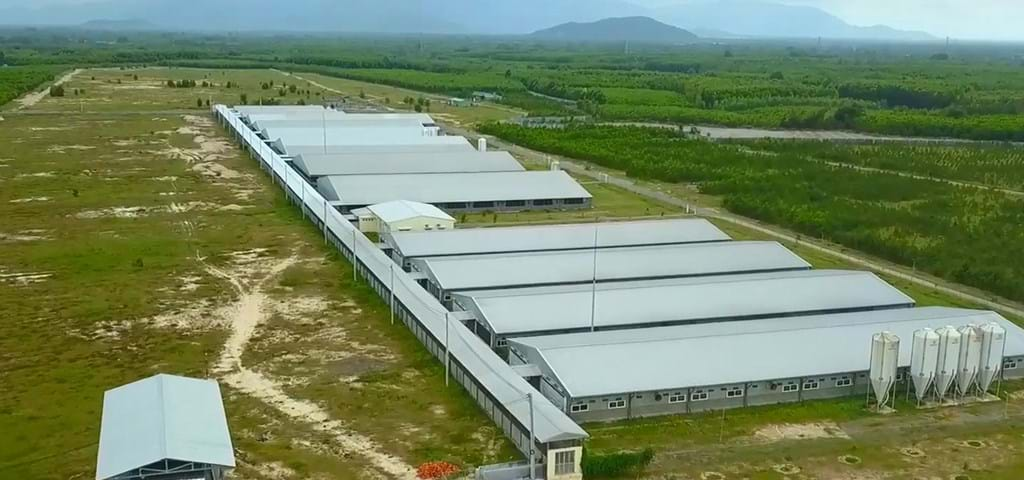 SKIOLD Pig Farm Project, Binh Dinh, Vietnam