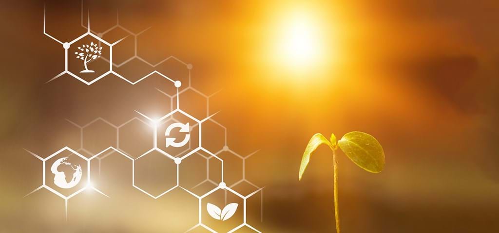 SKIOLD Sustainable earth of the future